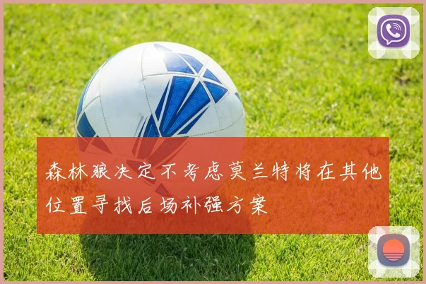 森林狼决定不考虑莫兰特将在其他位置寻找后场补强方案